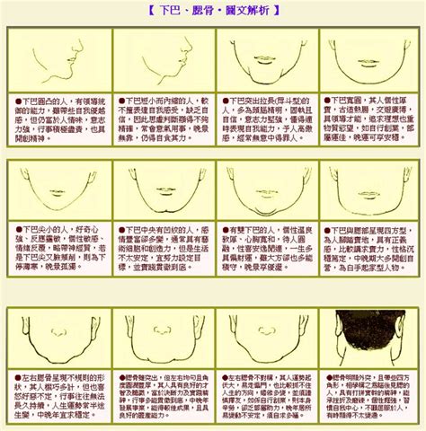 長下巴 面相|面相大全——下巴